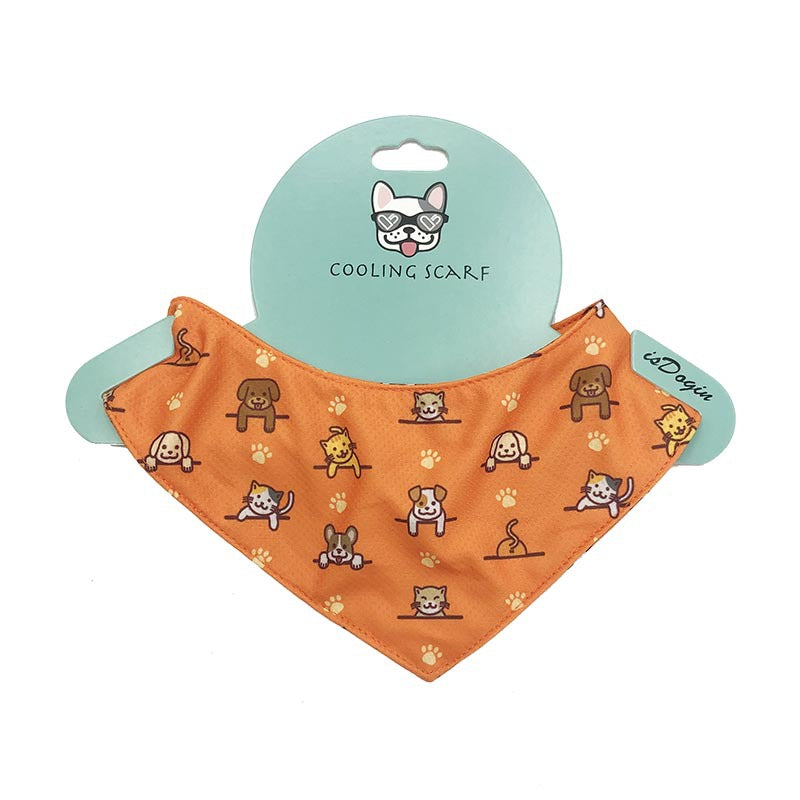 Orange-XL
