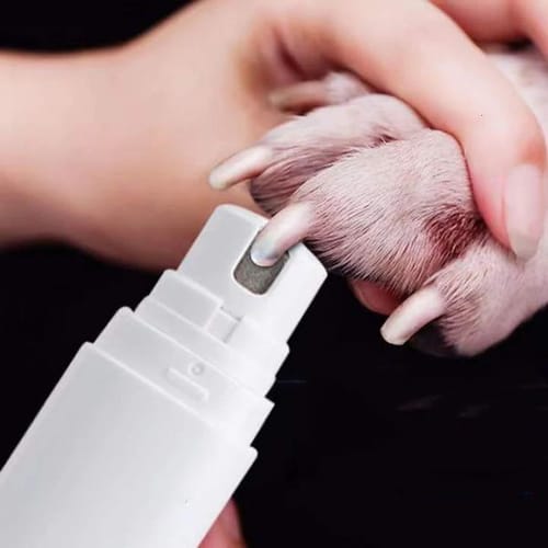 Electric Dog Nail Clipper Pet Paw Cutting Machine Tool With Led Lights Cat Paw Nail Beauty Trimmer Cleaning Supplies 240807