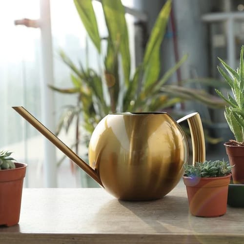 1l Stainless Steel Water Basin Garden Basin Small Water Tank With Handle Used For Aquatic Plants Flower Garden Tools 241125