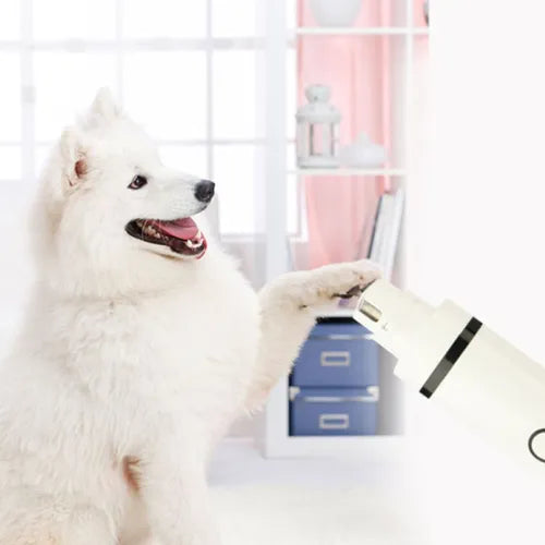Pets Hair Trimmer Shaver Pet Grooming Tool Electrical Shearing Cutter Dog Haircut Paw Shaver Clipper