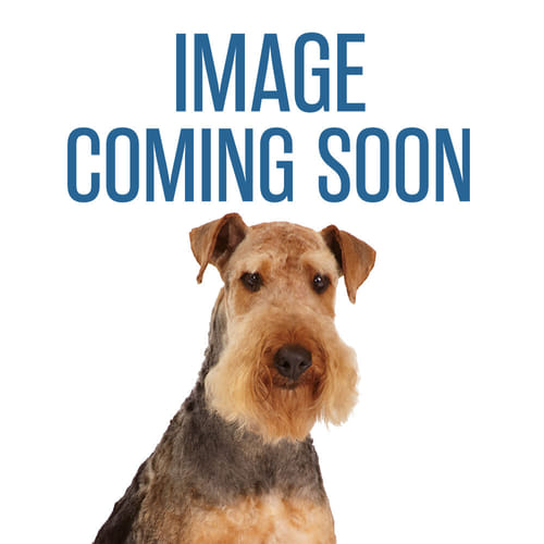 Furemover Extending Pet Hair Removal Broom