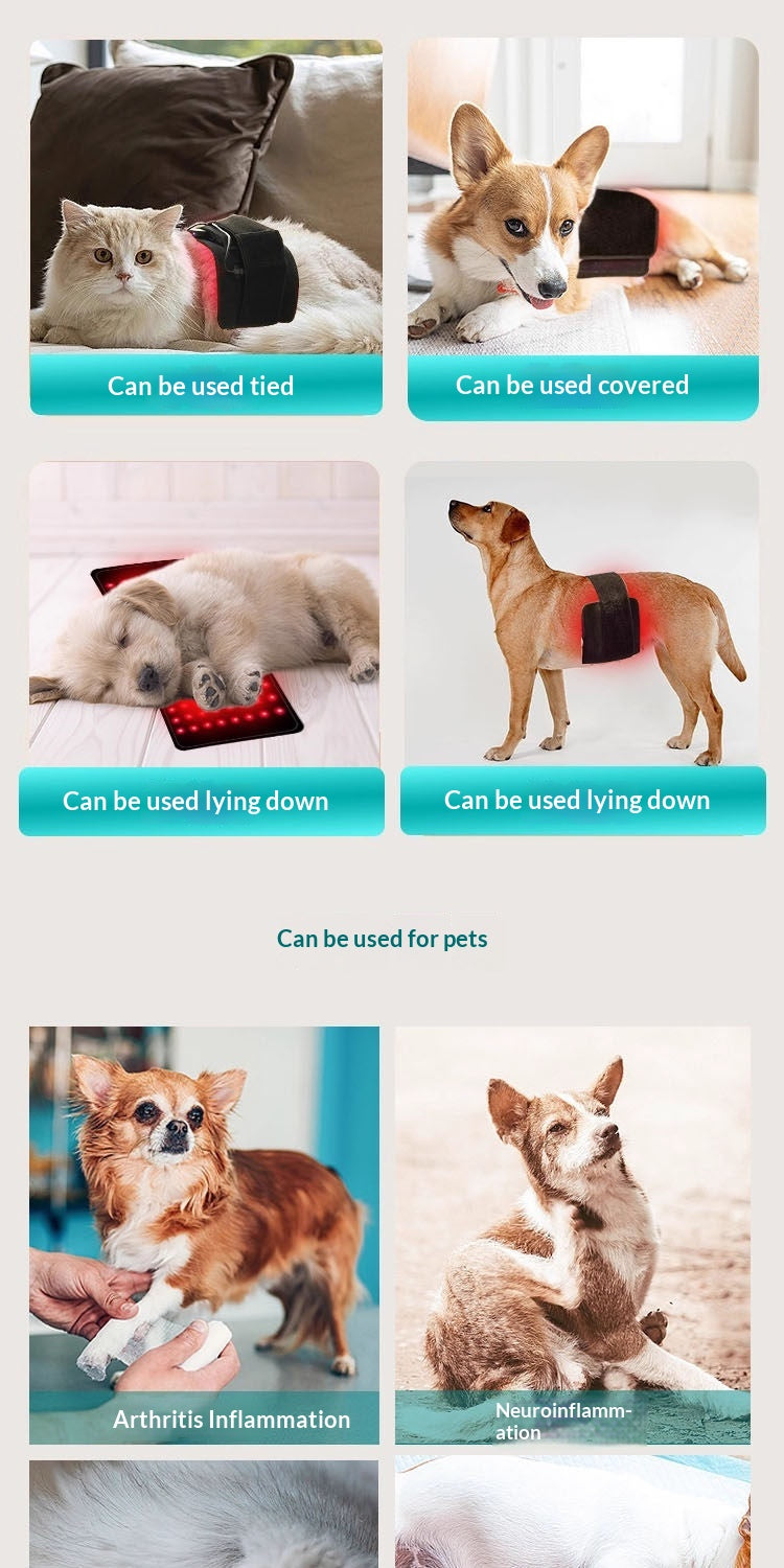 Power Supply: Us, Size: Small - Full-body Infrared Therapy Blanket For Pets Red Light Lumbar Belt For Senior Dogs And Cats